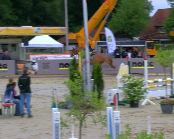 Reitturnier Borken Reitanlage Sportpferde Ehning 2023