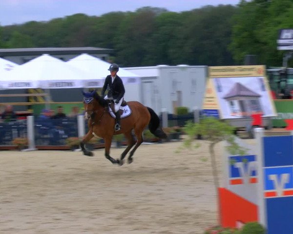 Reitturnier Borken Reitanlage Sportpferde Ehning 2023