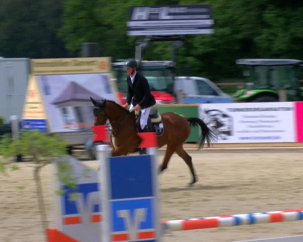 Reitturnier Borken Reitanlage Sportpferde Ehning 2023