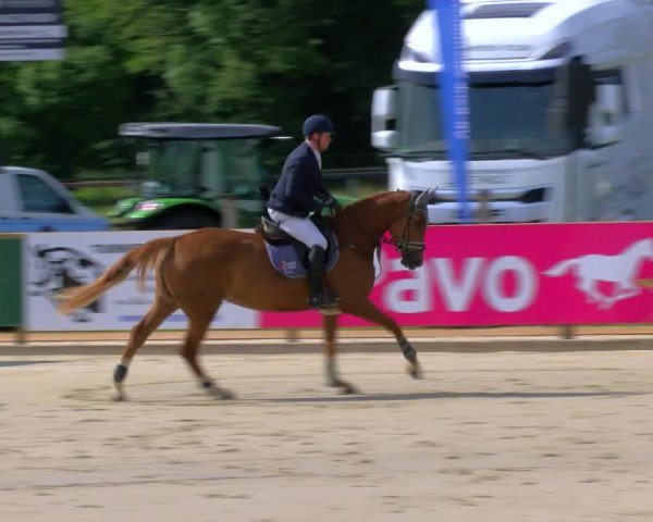 Reitturnier Borken Reitanlage Sportpferde Ehning 2023