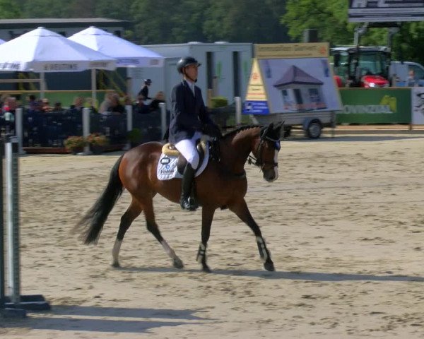 Reitturnier Borken Reitanlage Sportpferde Ehning 2023