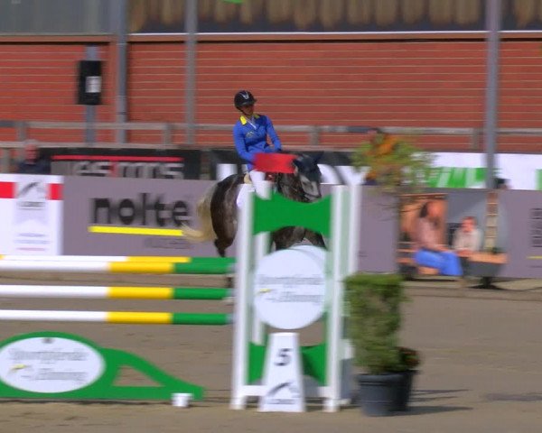 Reitturnier Borken Reitanlage Sportpferde Ehning 2023