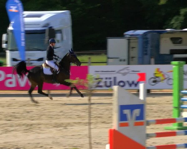 Reitturnier Borken Reitanlage Sportpferde Ehning 2023