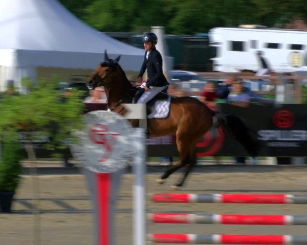 Reitturnier Borken Reitanlage Sportpferde Ehning 2023