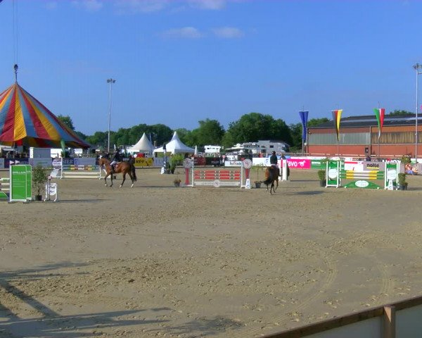 Reitturnier Borken Reitanlage Sportpferde Ehning 2023