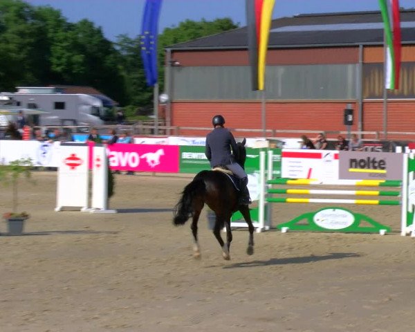 Reitturnier Borken Reitanlage Sportpferde Ehning 2023