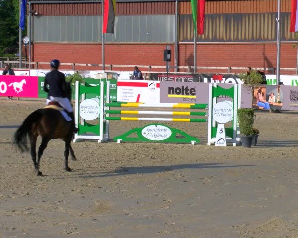 Reitturnier Borken Reitanlage Sportpferde Ehning 2023