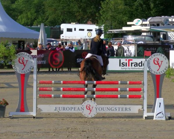 Reitturnier Borken Reitanlage Sportpferde Ehning 2023