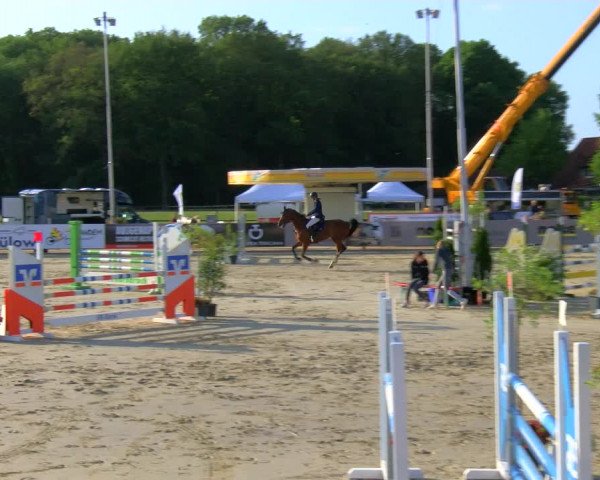 Reitturnier Borken Reitanlage Sportpferde Ehning 2023