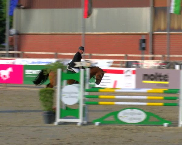 Reitturnier Borken Reitanlage Sportpferde Ehning 2023