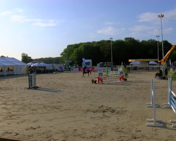 Reitturnier Borken Reitanlage Sportpferde Ehning 2023