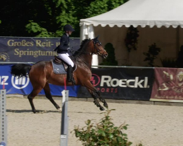 Reitturnier Karlsfeld/Obb. 2023