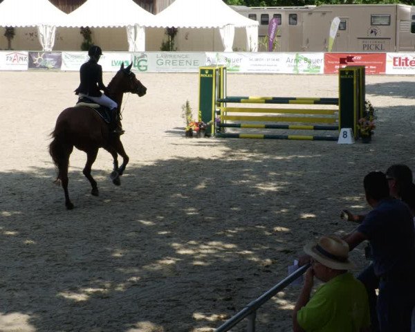 Reitturnier Karlsfeld/Obb. 2023