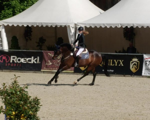 Reitturnier Karlsfeld/Obb. 2023