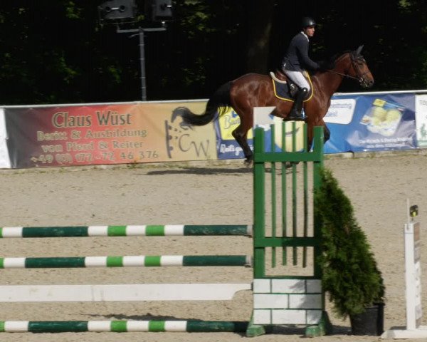 Reitturnier Karlsfeld/Obb. 2023
