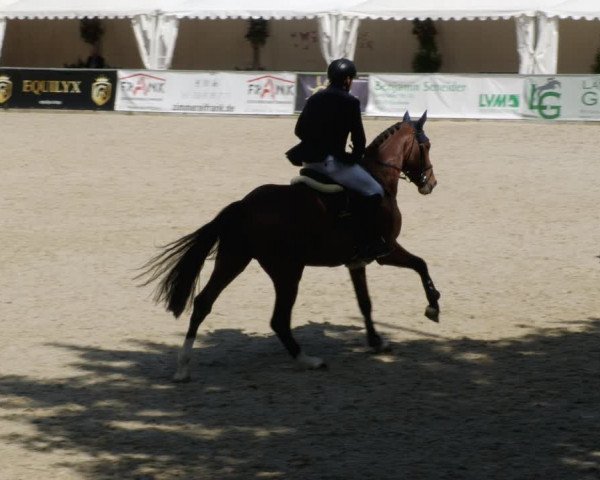 Reitturnier Karlsfeld/Obb. 2023