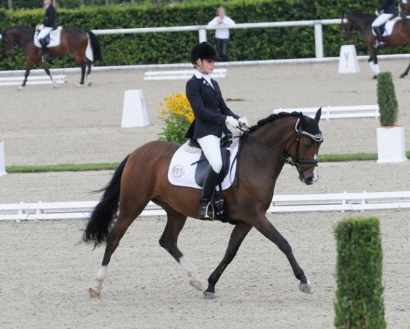 broodmare Proud Gilian (German Riding Pony, 2006, from Proud Rocketti)