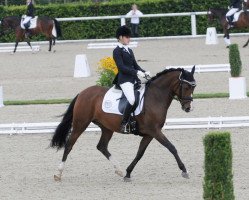 broodmare Proud Gilian (German Riding Pony, 2006, from Proud Rocketti)