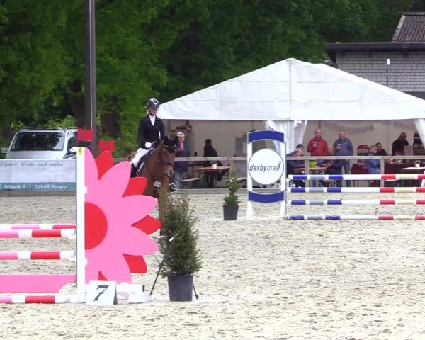 Reitturnier Kropp 2023