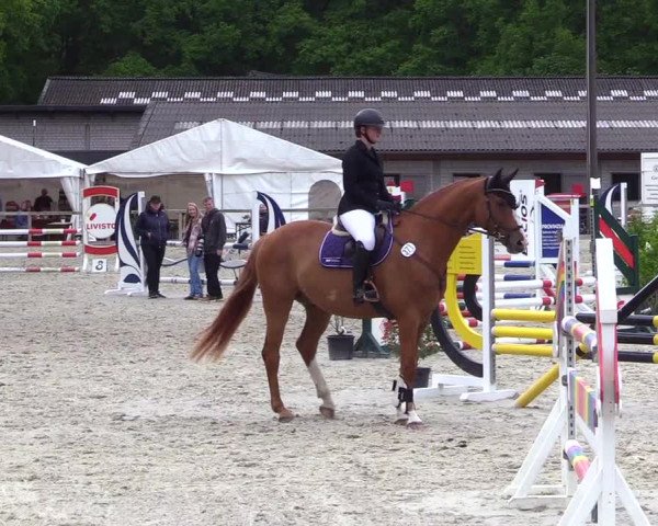 Reitturnier Kropp 2023