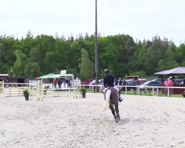 Reitturnier Kropp 2023