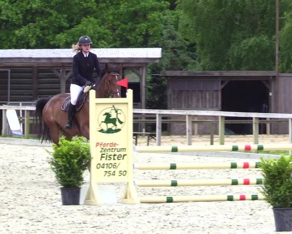 Reitturnier Kropp 2023