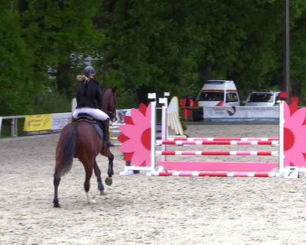 Reitturnier Kropp 2023