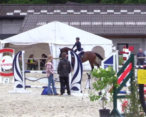 Reitturnier Kropp 2023