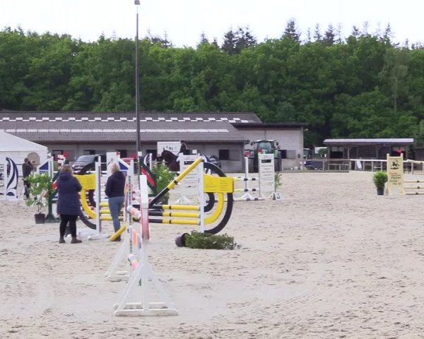 Reitturnier Kropp 2023