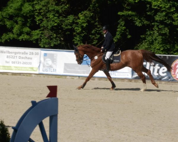 Reitturnier Karlsfeld/Obb. 2023