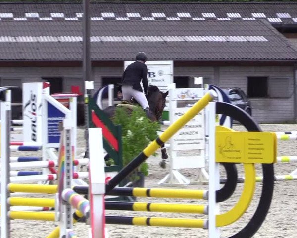 Reitturnier Kropp 2023