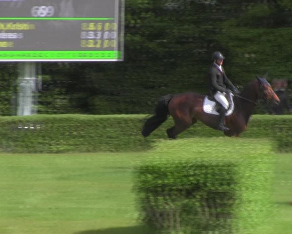 Reitturnier Westeregeln 2023