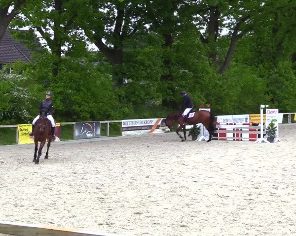 Reitturnier Kropp 2023