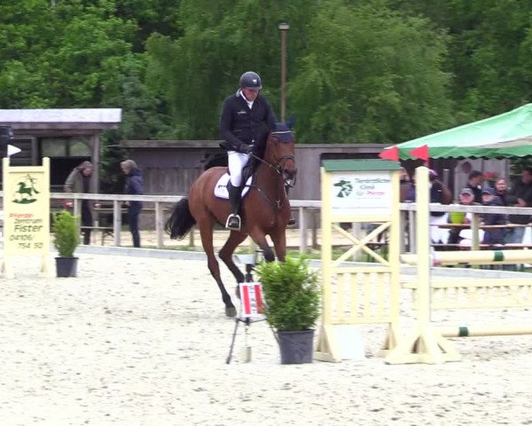 Reitturnier Kropp 2023