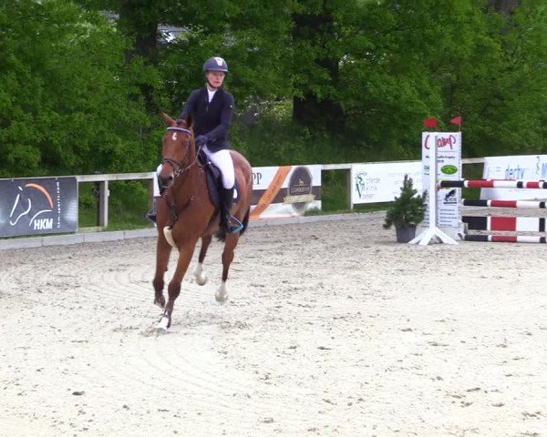 Reitturnier Kropp 2023