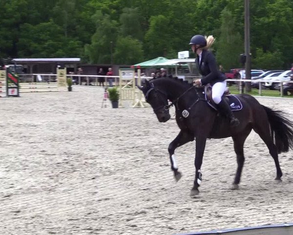 Reitturnier Kropp 2023
