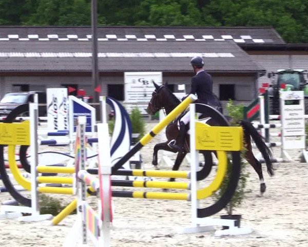 Reitturnier Kropp 2023