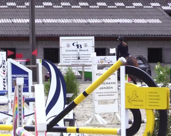 Reitturnier Kropp 2023