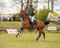 broodmare Special Edition 27 (Hungarian Warmblood, 2005, from Koppány)