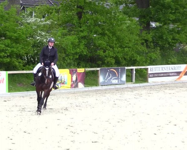Reitturnier Kropp 2023