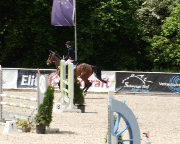 Reitturnier Karlsfeld/Obb. 2023