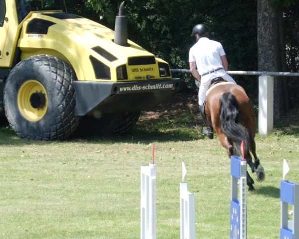 Reitturnier Forst 2023