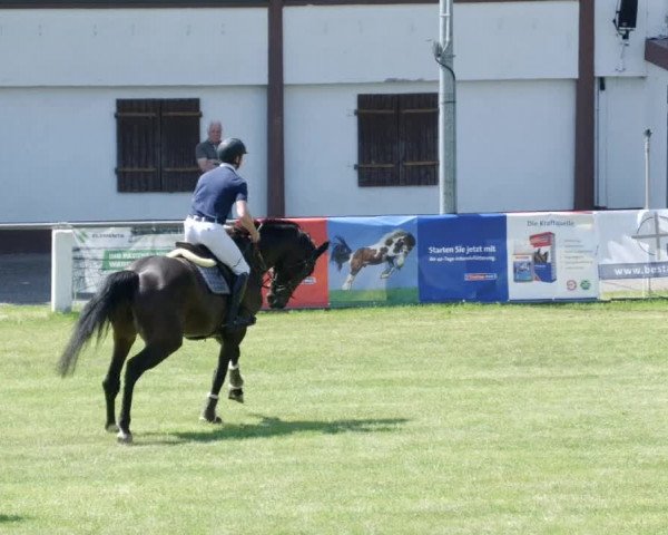 Reitturnier Forst 2023