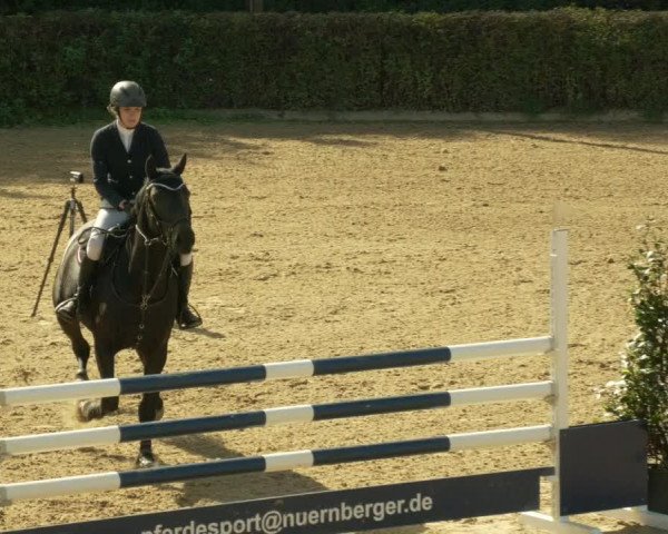 Reitturnier Böblingen 2021