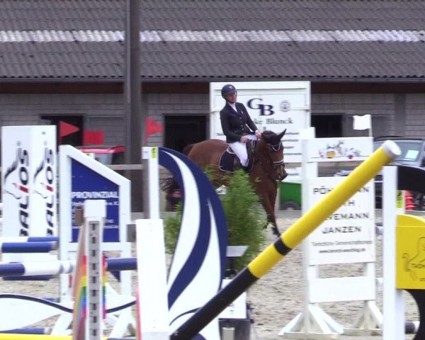 Reitturnier Kropp 2023