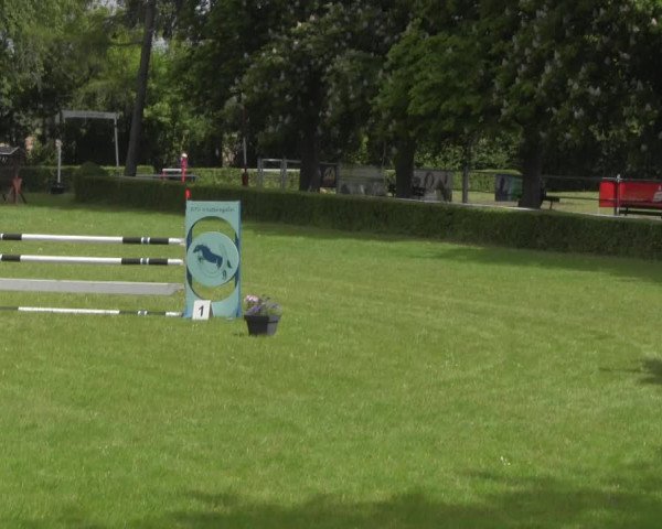 Reitturnier Westeregeln 2023