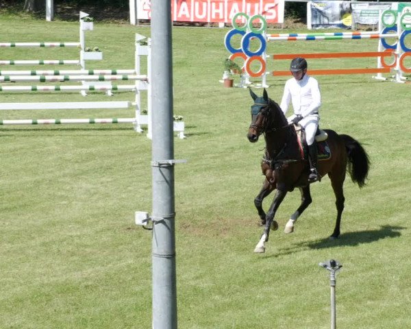 Reitturnier Forst 2023