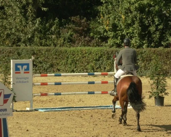 Reitturnier Böblingen 2021