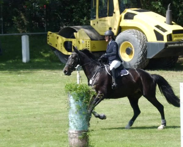 Reitturnier Forst 2023
