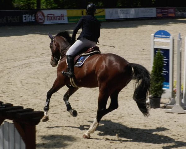 Reitturnier Karlsfeld/Obb. 2023